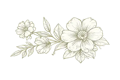 Decoration